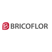 logo de Bricoflor fr