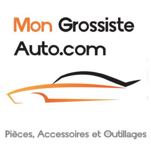 www.mongrossisteauto.com logo